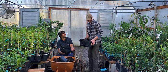 6 Tips for Early Spring Fruit Tree Care
