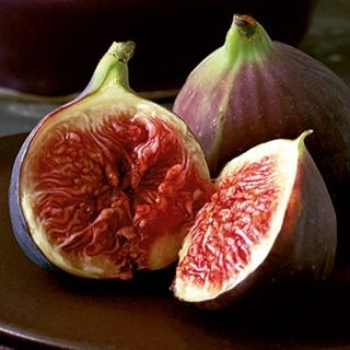 Fig