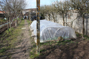 Hoop House winter gardening seed starts