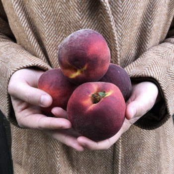 Peach Leaf Curl and How to Conquer It!