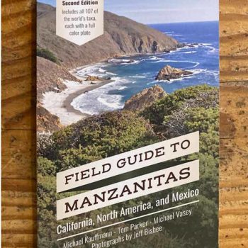Field Guide to Manzanitas