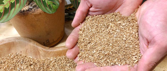 Soil Health and the Role of Microorganisms