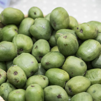 Rossana Italian Hardy Kiwi