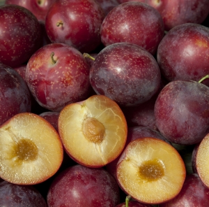 Interspecific Hybrid Fruit Trees