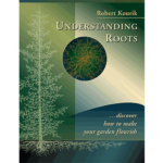 Understanding Roots